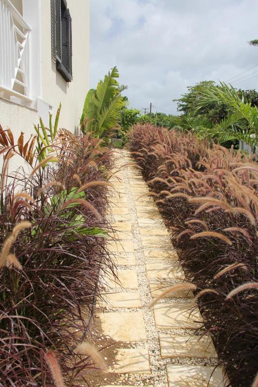 Lantana Resort Barbados By Island Villas Saint James Exteriér fotografie